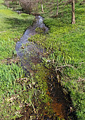 Stream in the countryside, Village of Change, Sarthe, France