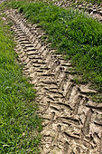 Tractor tire prints on a farm road, Sarthe, France
