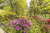 Jardin de Reuilly, La Promenade Plantée, Paris, Ile de France, France
