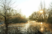 Arm of the Loire in winter flood, near La Charité sur Loire, Loire Valley, Nièvre, France