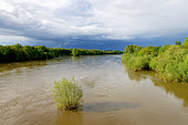 Spring flooding of the Grande Loire above the town of Cosne sur Loire, Val de Loire, Nièvre, France