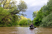 Exploring a branch of the Loire by kayak during a major flood, Branch crossing the island of Cosne, Loire Valley, Nièvre, France