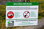 Information sign for an eco-pasturing site "Nos moutons entretiennent vos espaces verts - les moutons urbains". Changé, Sarthe, Pays de la Loire, France