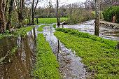 Flooding in the countryside, a river overflows its banks, Sarthe, France