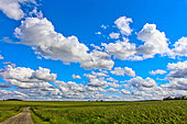 Landscape with beautiful clouds, Sarthe, France