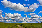 Landscape with beautiful clouds, Sarthe, France