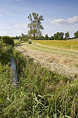 Grass strips along watercourses, obligation to leave a 6 m strip of uncultivated grass, free of fertilizers and pesticides, along the banks of streams and rivers. France