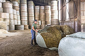 Farmer removing plastic film from a wrapped round bale of hay, France