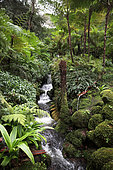 Monserrate park, Sintra, Portugal