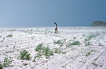 Soil Erosion in Kansas, top soil gone, climate change