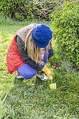 Woman creating a perennial meadow in an old lawn, step by step. 2 Preparing planting holes