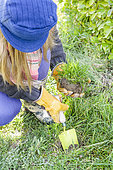Woman creating a perennial meadow in an old lawn, step by step. 2 Preparing planting holes