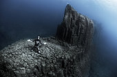 Volcanic underwater beds, Tenerife. The image shows the top of an underwater mountain formed by basaltic columns (columnar disjunction. Canary Islands.