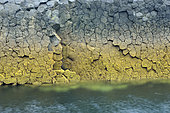 Basalt Organs, Staffa, Inner Hebrides, UK