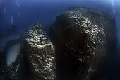 Volcanic underwater bottoms. True seamounts can be seen in the image, a natural monument made of basaltic columns called a columnar disjunction. The highest point is about 15 meters below the surface of the Atlantic Ocean and drops vertically to more than 40 meters at its deepest point. The place is known as La Rapadura on the coast of Santa Úrsula, north of the island of Tenerife. Seabed of the Canary Islands.