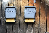 Bat nesting boxes. Germany