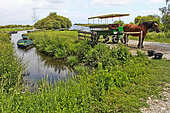 Horse-drawn carriage ride in the Brière Regional Nature Park, Loire-Atlantique, France