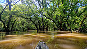 Kayaking in the Loire forest, Loire in flood, Cosne sur Loire region, France