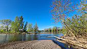 Landscape of the Loire islands, Pouilly sur Loire region, France
