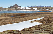 Baularvallavatn Lake, Snaefellsnes Massif, Iceland