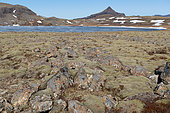 Baularvallavatn Lake, Snaefellsnes Massif, Iceland