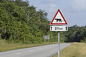 "Attention jaguar crossing" Road sign on the Route de l'Espace in French Guiana. Guiana Space Center. French Guiana.