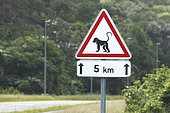 "Attention monkey crossing" Road sign on the Space Road in French Guiana. Guiana Space Center. French Guiana.