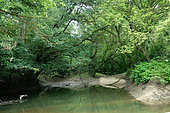 Secondary branch of the Loire, Cosne sur Loire region, France