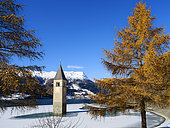 The steeple of village Alt-Graun in lake Reschensee, one of the icons of Vinschgau (Val Venosta). Europe, Central Europe, Italy, Suedtirol, Alto Adige