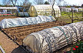 Plastic tunnels to shelter vegetables in winter, Allotment garden, Allonnes, Sarthe, Pays de la Loire, France