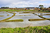 Lasne salt marshes near Saint Armel, Golfe du Morbihan, Southern Brittany, France