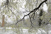 Panoramic tour in the spring snow at the summit of the Wintersberg (highest point of the Vosges du Nord 581 m), Vosges du Nord Regional Nature Park, France