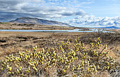 vallée de la rivière Hvita Islande
