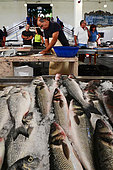 The Funchal fish market. Funchal. Madeira island. Portugal.