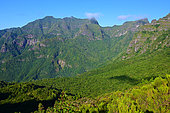 View of the mountains covered by forests. Madeira island. Portugal.