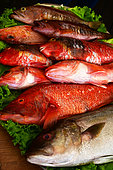 The Funchal fish market. Funchal. Madeira island. Portugal.