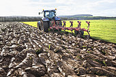 Plowing, turning over a meadow with a tractor pulling a reversible plow. plow, symbolic tool of agriculture, France