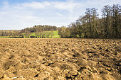 Ploughing after periods of frost, forming curved clods in winter in March, the field is lightly worked before spring sowing. cereals, barley, maize or sunflower. France
