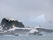 Chinstrap Penguin (Pygoscelis antarctica) colony near Point Wild on Elephant Island. Antarctica, West Antarctica, South Shetland Islands, spring