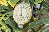 Greenhouse Thermo Hygrometer