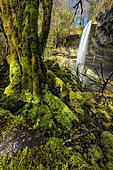 The Dorche waterfall in autumn, in the Bugey region. A tributary of the Rhone, the Dorche has been designated a "Wild River Site" along its entire length and main tributaries, Ain, France.