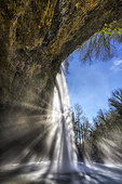 The Dorche waterfall in autumn, in the Bugey region. A tributary of the Rhone, the Dorche has been designated a "Wild River Site" along its entire length and main tributaries, Ain, France.
