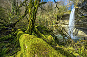 The Dorche waterfall in autumn, in the Bugey region. A tributary of the Rhone, the Dorche has been designated a "Wild River Site" along its entire length and main tributaries, Ain, France.