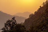 Landscape, Langtang valley, Himalayas, Nepal