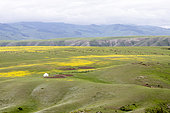 Yurt on the steppe, Kazakhstan