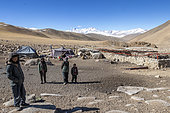 Nomad camp, Changtang Plateau, Ladakh, India