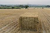 Straw bale in the Buckinghamshire countryside, England