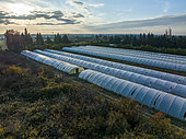 Greenhouses on the Vaucluse plain, Provence, France