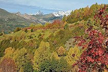 Tena Valley in autumn: Ordesa-Vignemale Biosphere Reserve. View of the border ridge and the Pic du Midi d'Ossau. Aragonese Pyrenees. Spain