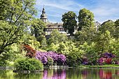 Pond in the castle park, created in the 18th century Rhododendron blossom, in the back Berleburg Castle, ancestral seat of the Sayn-Wittgenstein-Berleburg family, Bad Berleburg, climatic spa, Wittgensteiner Land, Siegen-Wittgenstein district, North Rhine-Westphalia, Germany, Europe